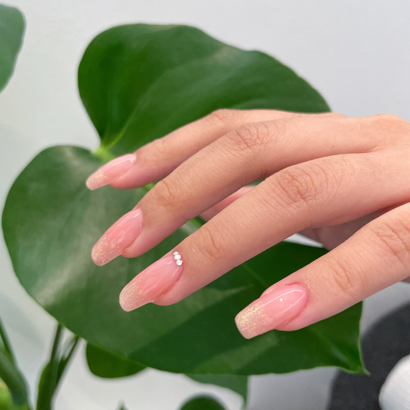 B2C9FD14-9869-436A-807A-1913EFEACE32